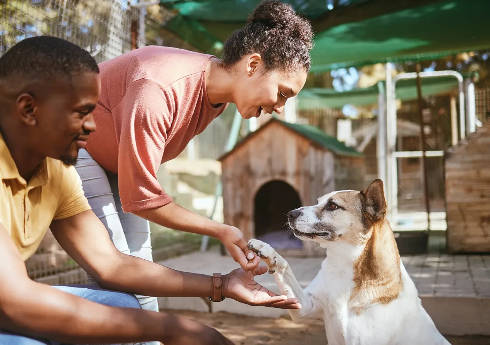 Couple petting a dog at an animal shelter