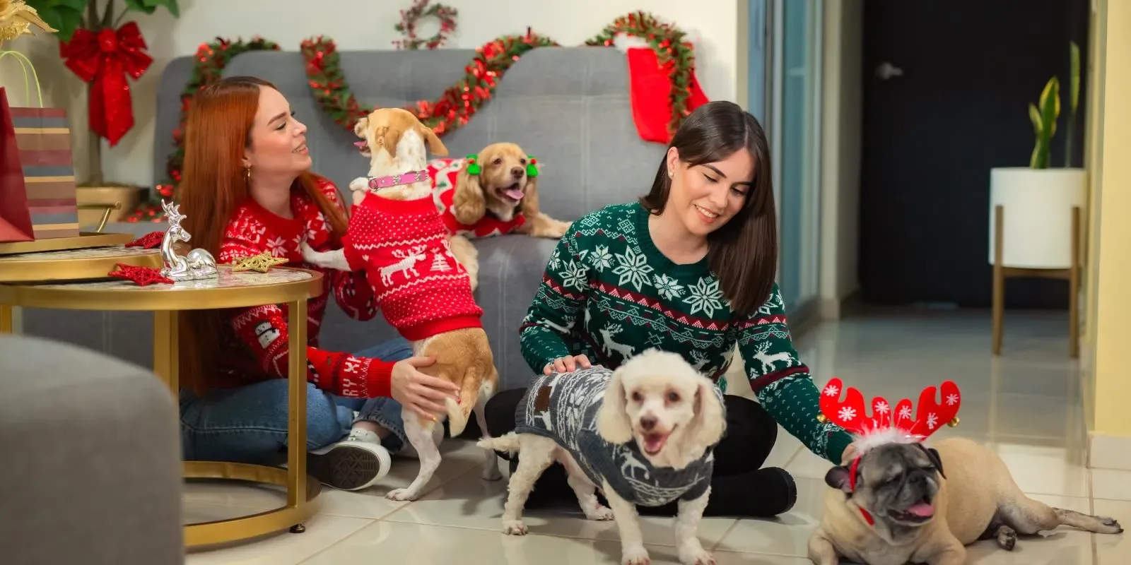 Holiday-themed dog rescue