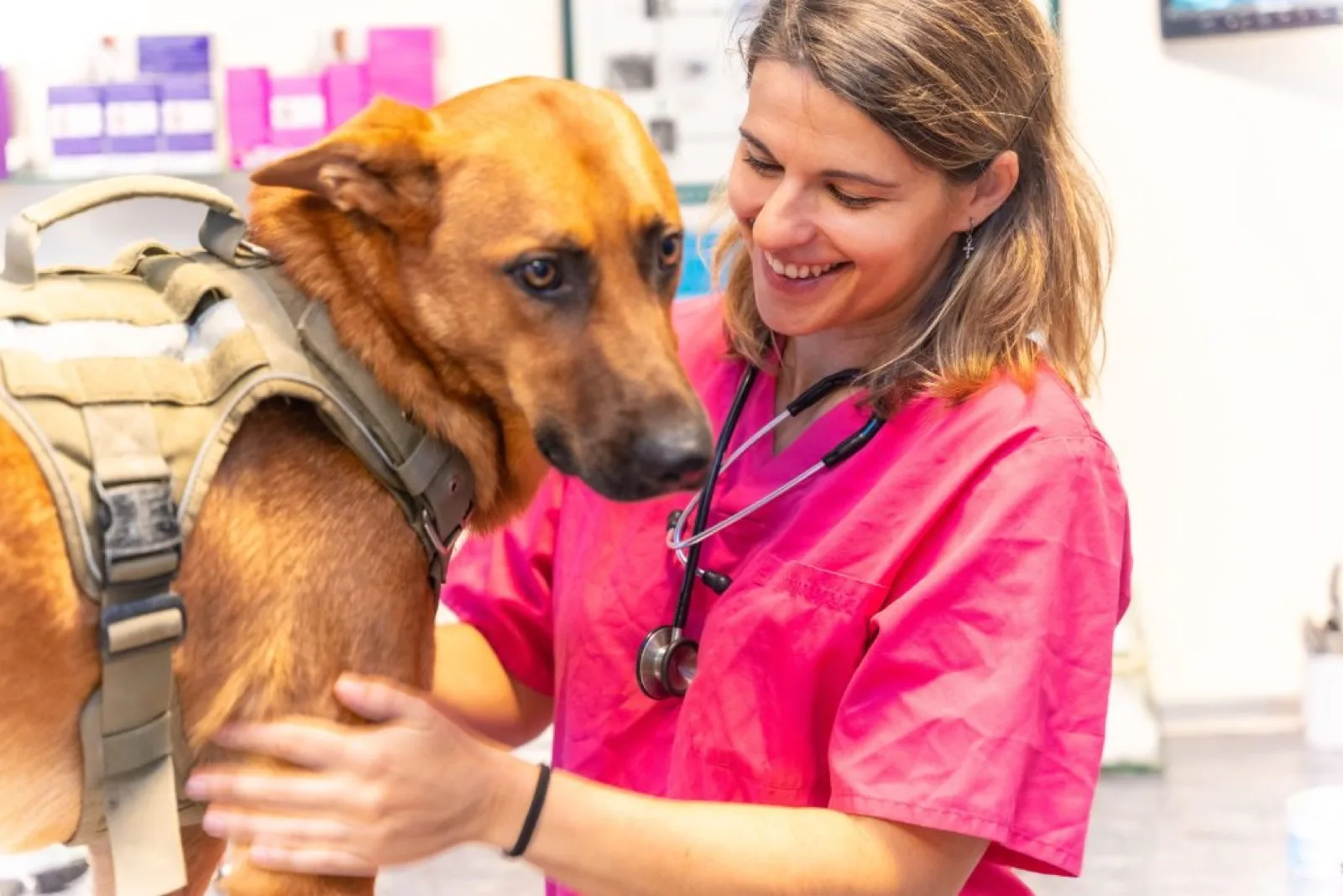 Smiling veterinarian with a dog
