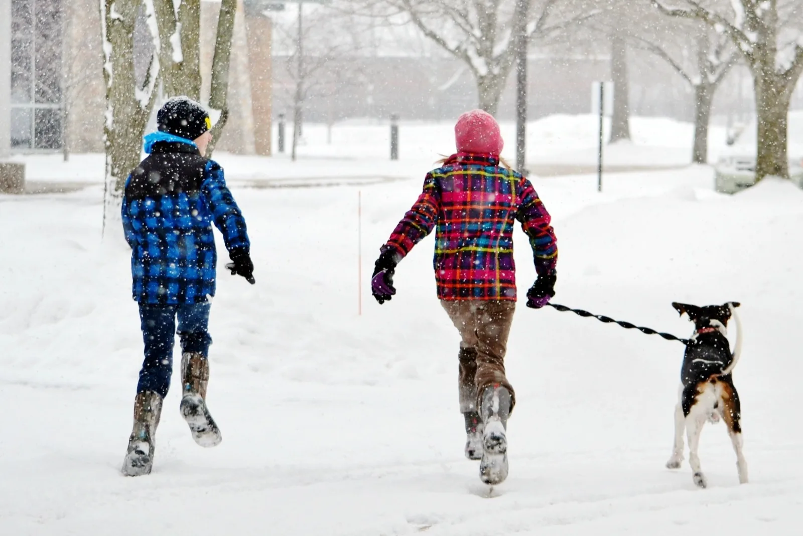 Two children running through falling snow with a dog on a leash