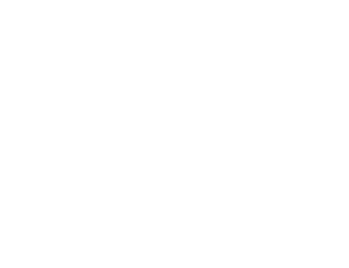 Twin Cities Rescues