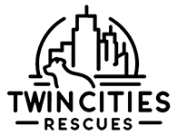 Bold Animal Advocates LLC logo