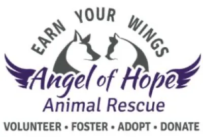 Angel of Hope Animal Rescue logo