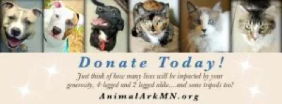 Animal Ark logo