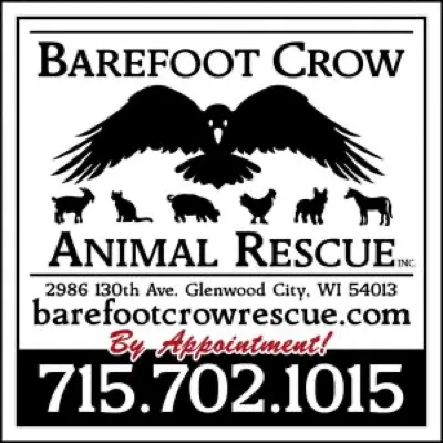 Barefoot Crow Animal Rescue logo