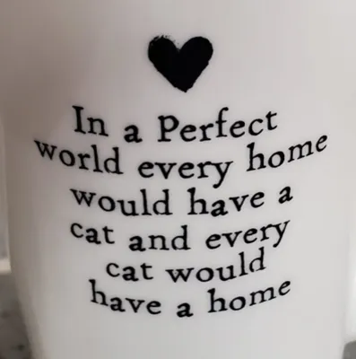 Cat Tales logo