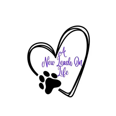 From Stray To Stay logo