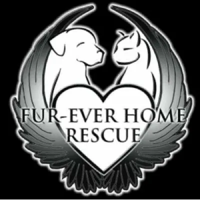 Fur-Ever Home Rescue logo