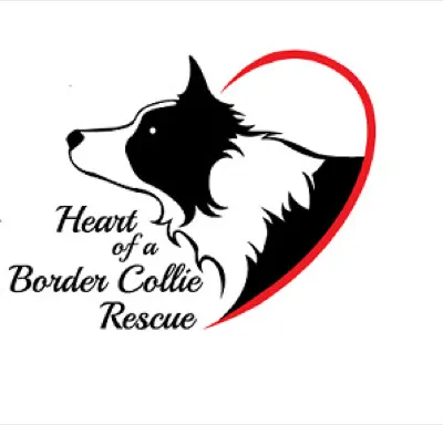 Heart of a Border Collie Rescue logo
