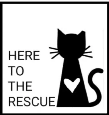 Here to the Rescue logo