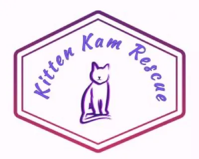 Kitten Kam Rescue logo