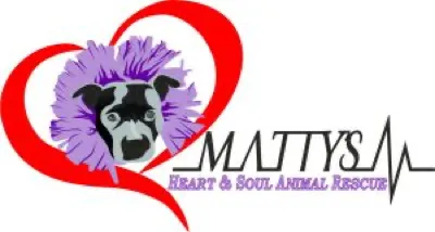 Matty’s Heart & Soul Animal Rescue logo