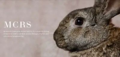 Minnesota Companion Rabbit Society logo