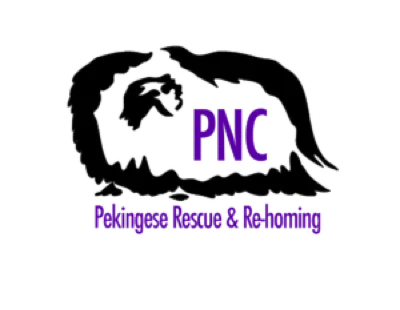 PNC Midwest Rescue logo