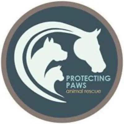 Protecting Paws Animal Rescue logo