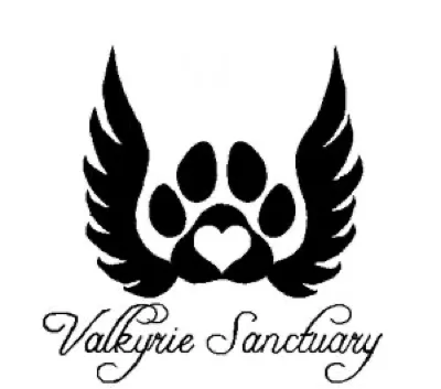 Valkyrie Sanctuary logo